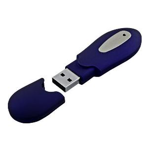 Pen Drive (USB Drive)